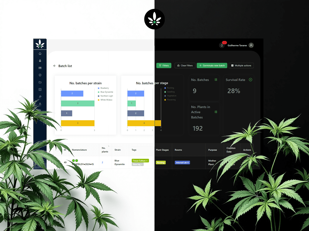 Cannabud.ai - Dark mode and white mode