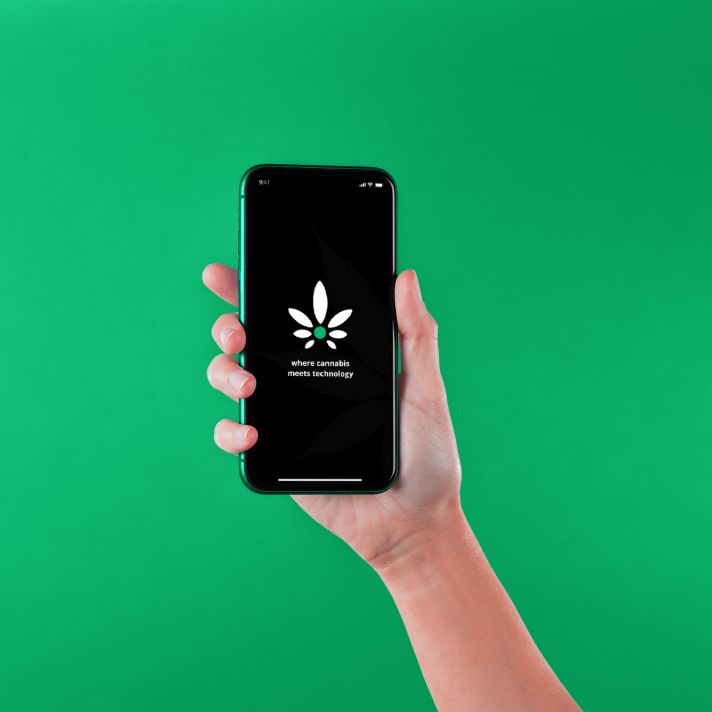 Cannabud.ai mobile app being holded by a person on a green background.