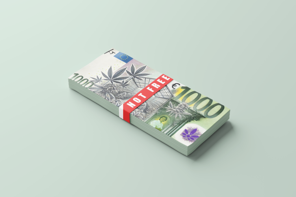 Pricing that scales with you