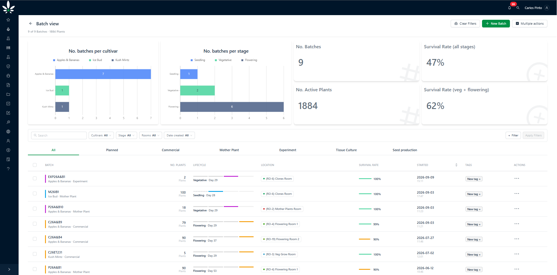 Cannabud.ai batch view with batches per cultivar and stage, active plant count and survival rates